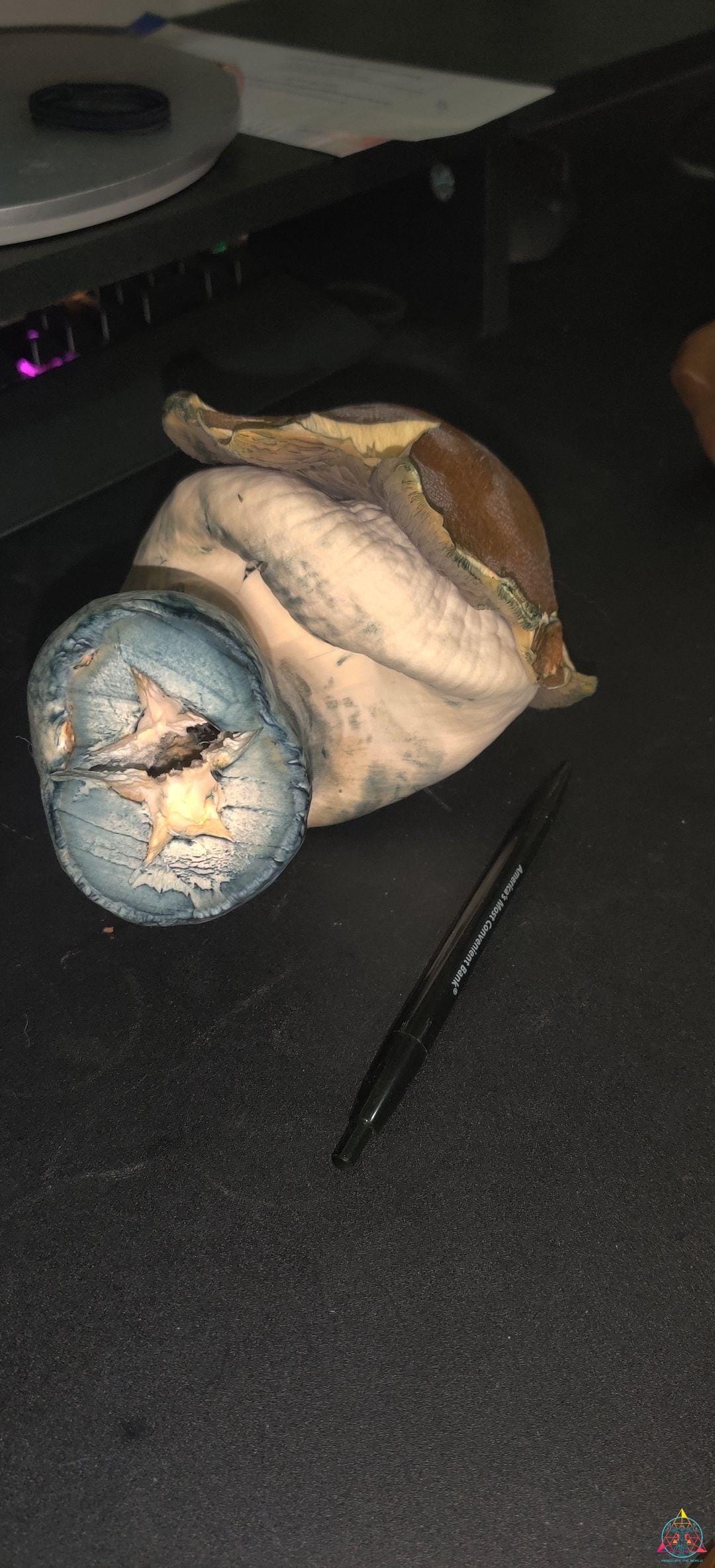 Jedi Mind Fuck (JMF) Spore Print - Image 2