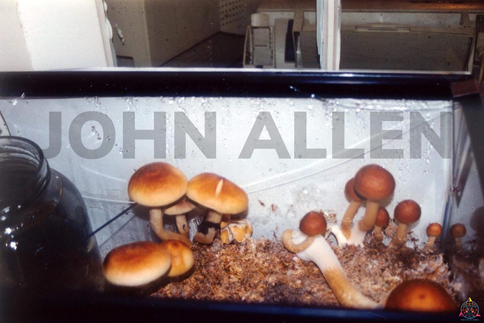 Orissa India Spore Print - Image 3