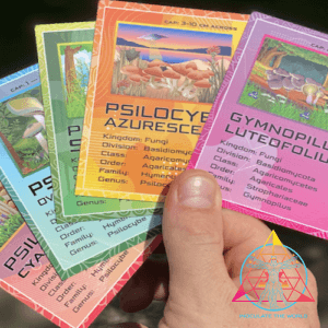 Collectibles