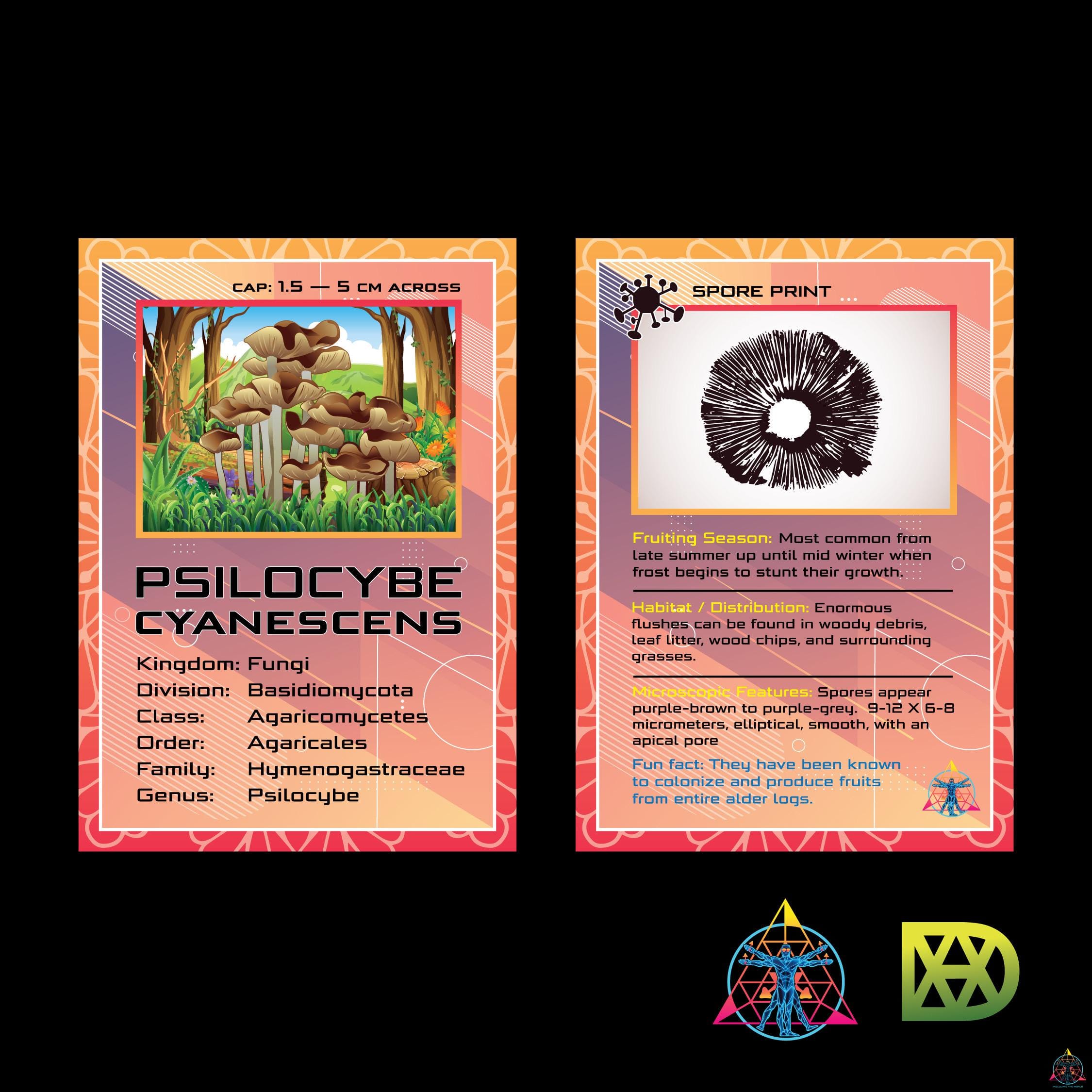 Mushroom Trading Cards - Image 4