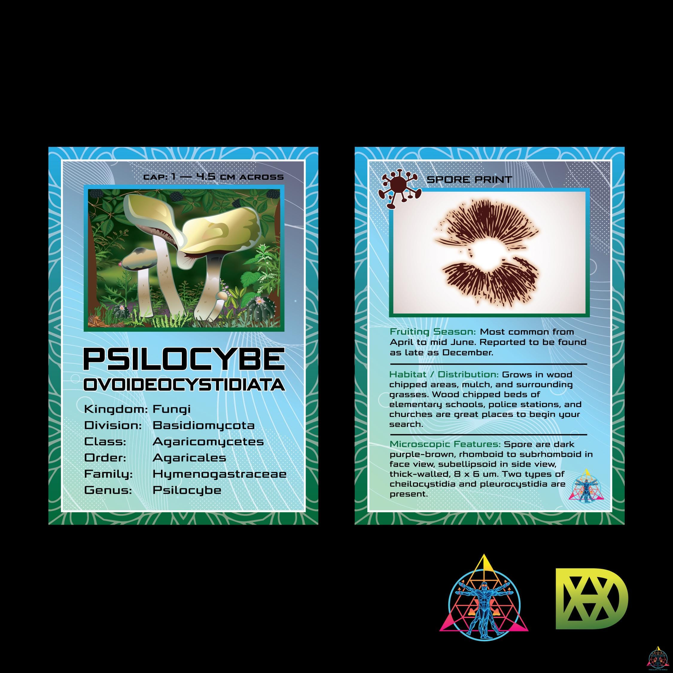 Mushroom Trading Cards - Image 2