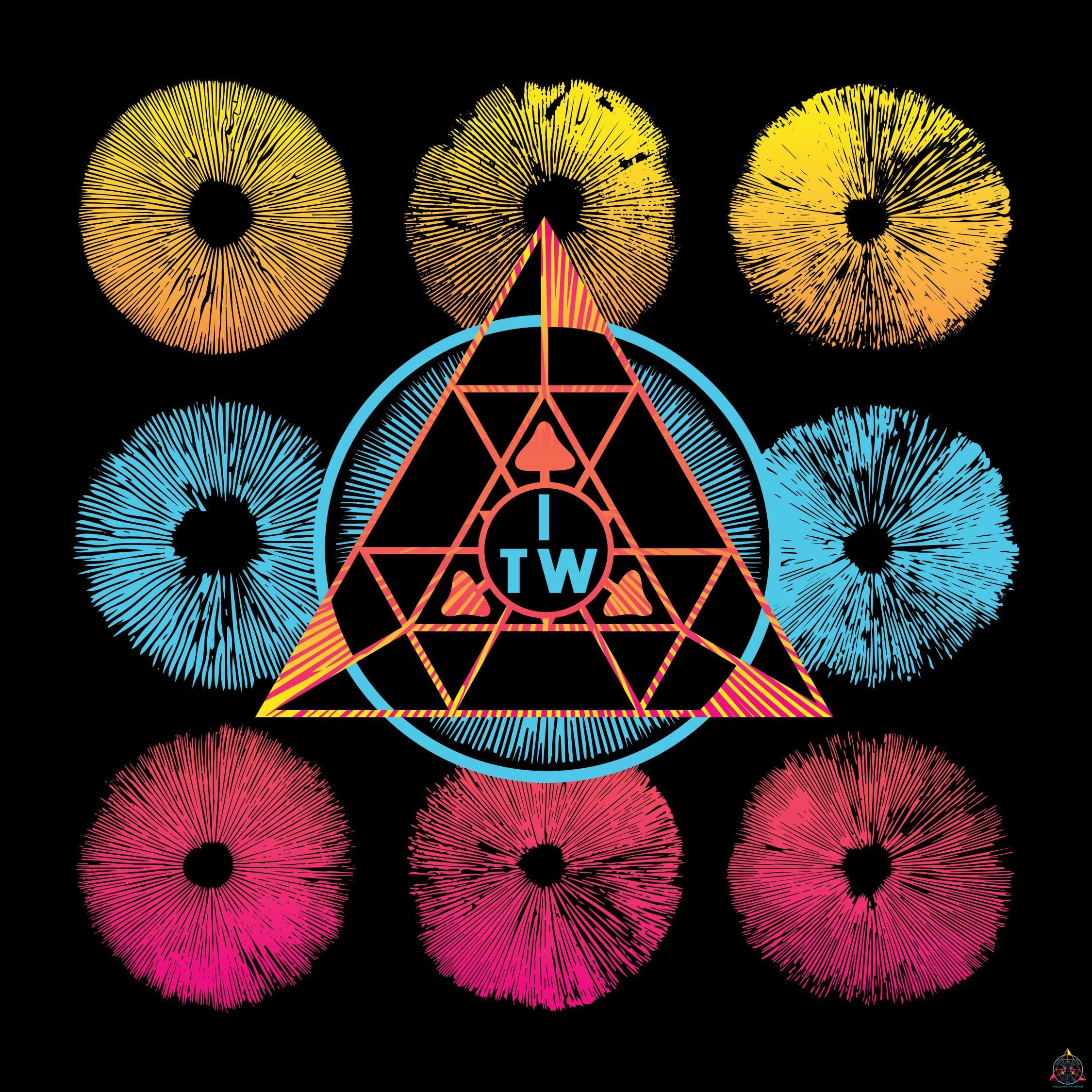 Collector's Box (The Breakthrough)