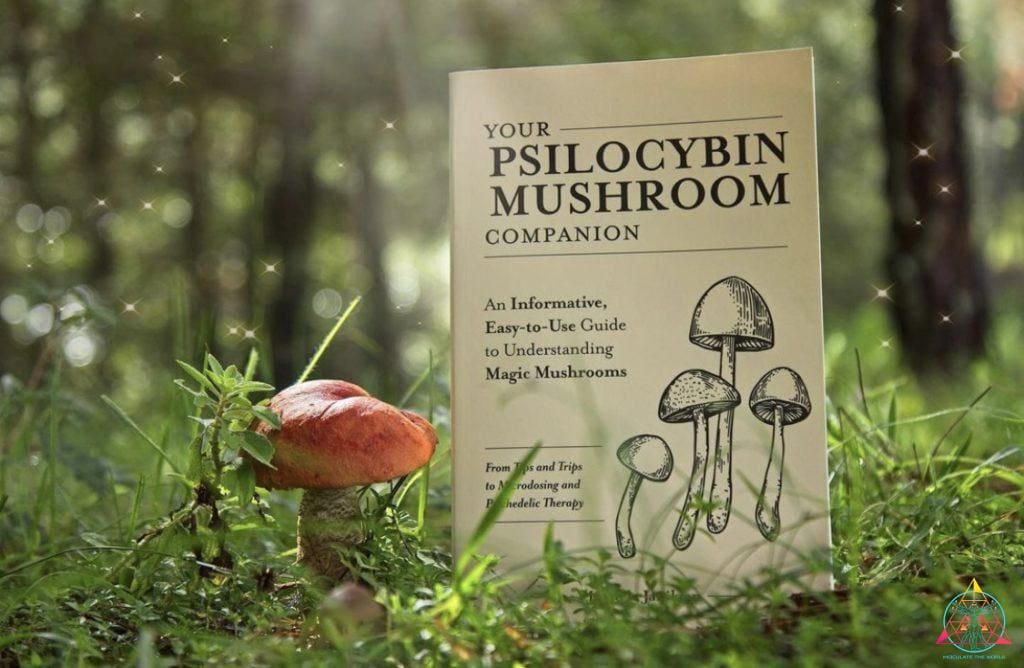 Your Psilocybin Mushroom Companion book in grass next to red mushroom