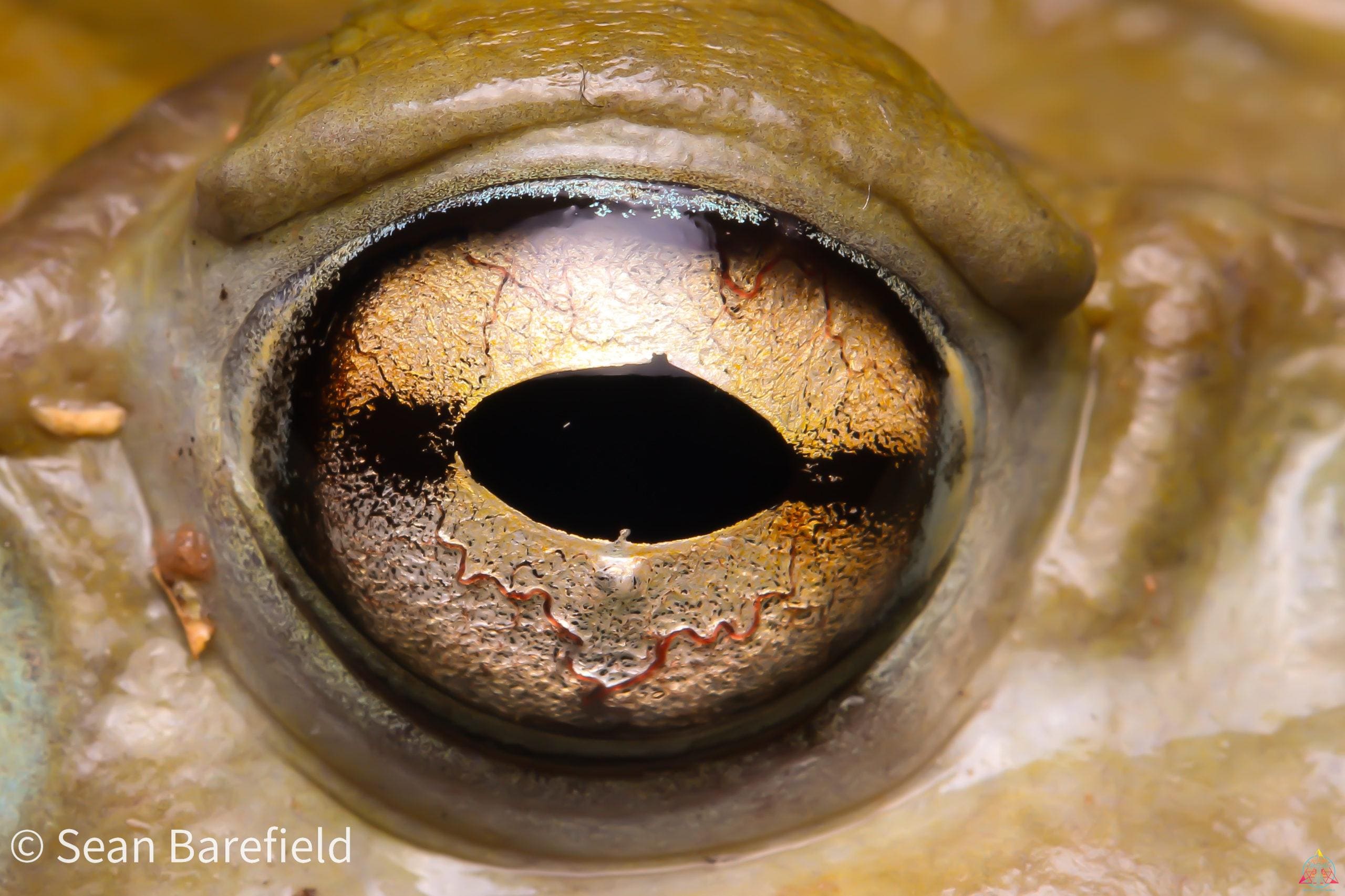 20200722100959_IMG_8556 (1)