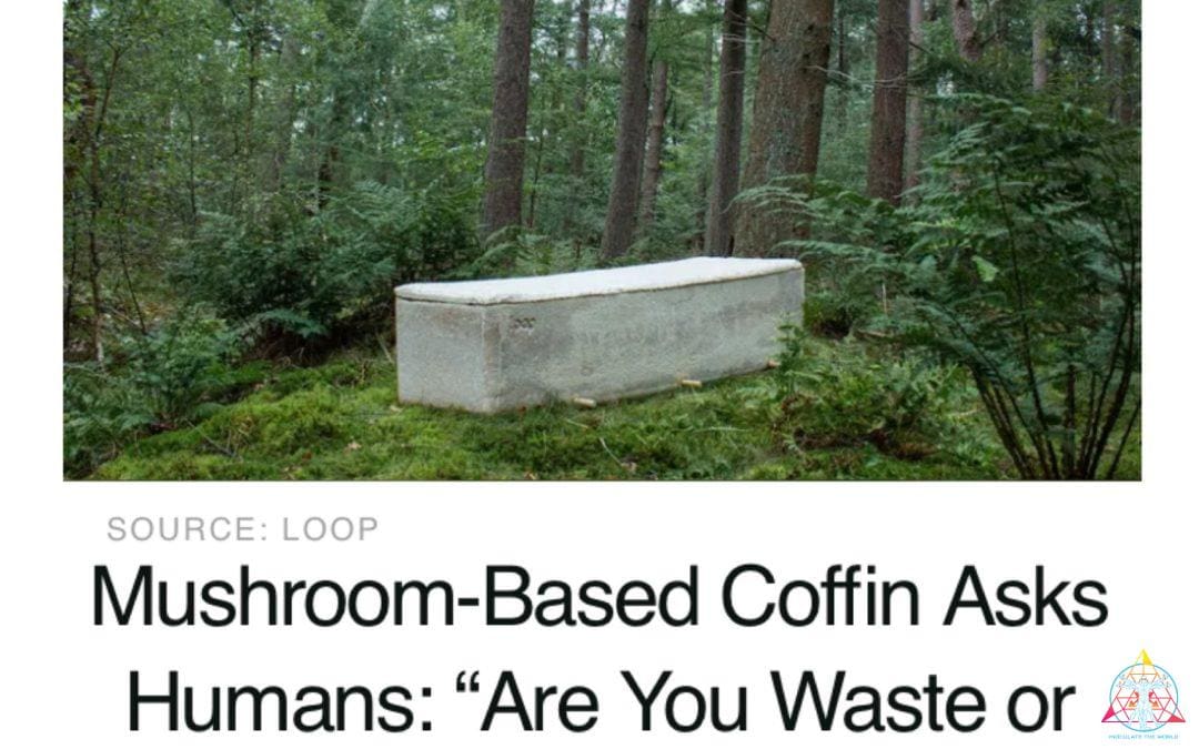 Shroom coffins