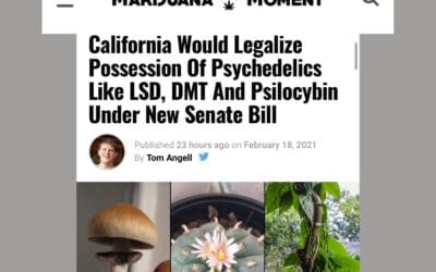 Cali legalization