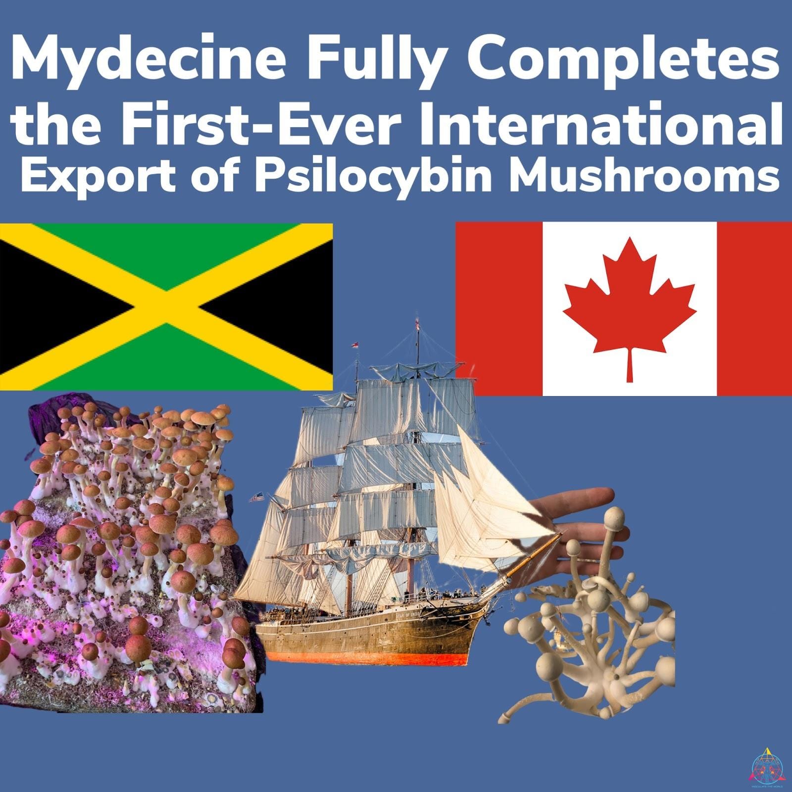 first legal export and import