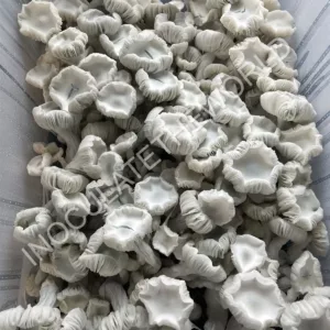 Large flush of averys albino cubensis mushrooms in a tub