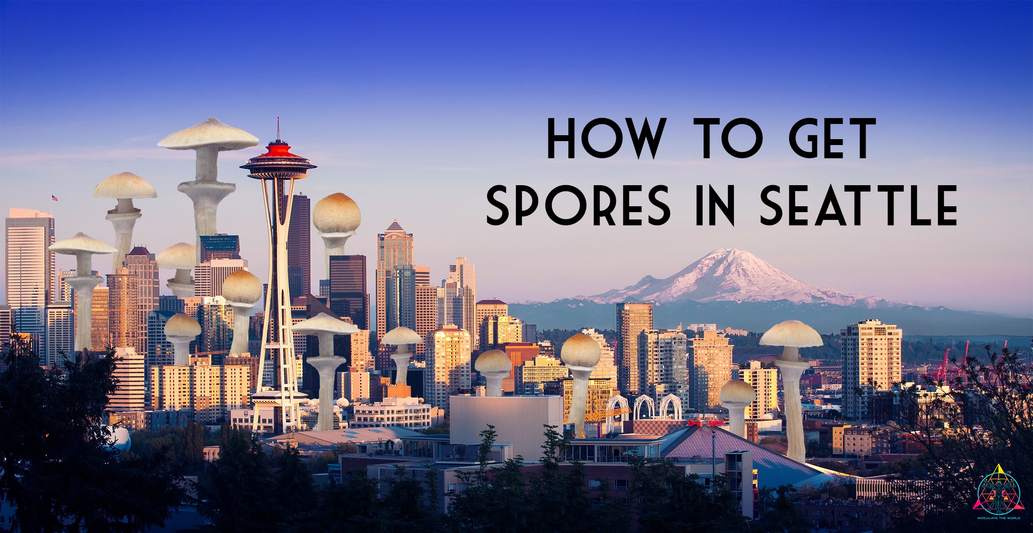 How To Get Spores In Seattle