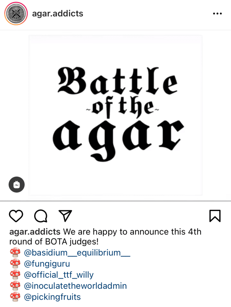 @agar.additcs instagram post for BOTA4 judges