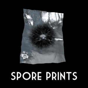 Spore Prints