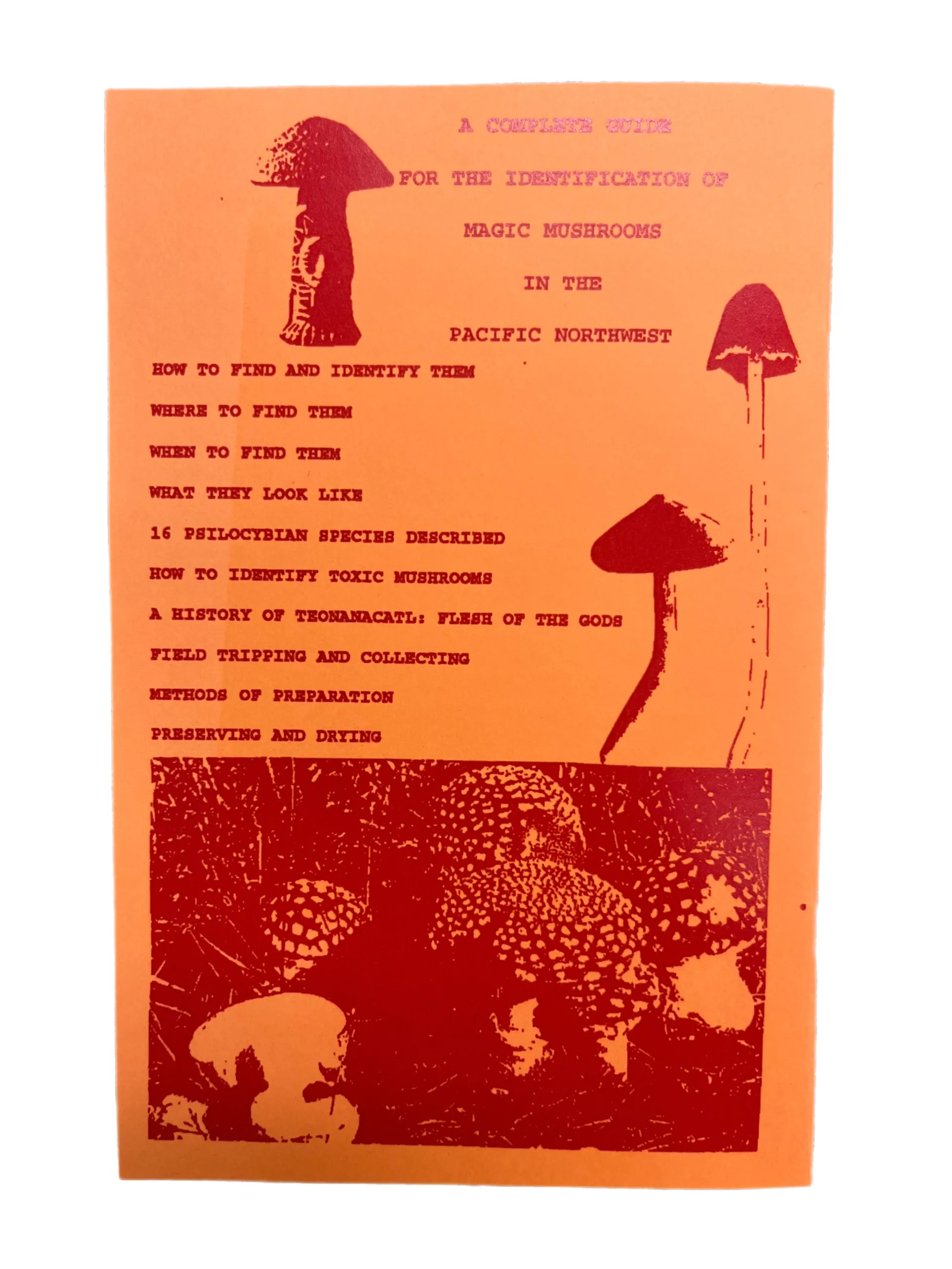 Magic Mushrooms of the Pacific Northwest (Booklet) - Image 3