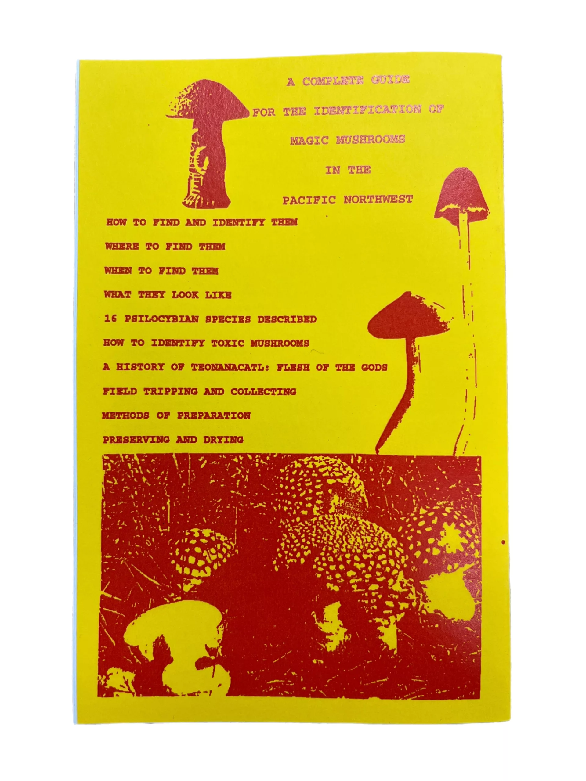 Magic Mushrooms of the Pacific Northwest (Booklet) - Image 4
