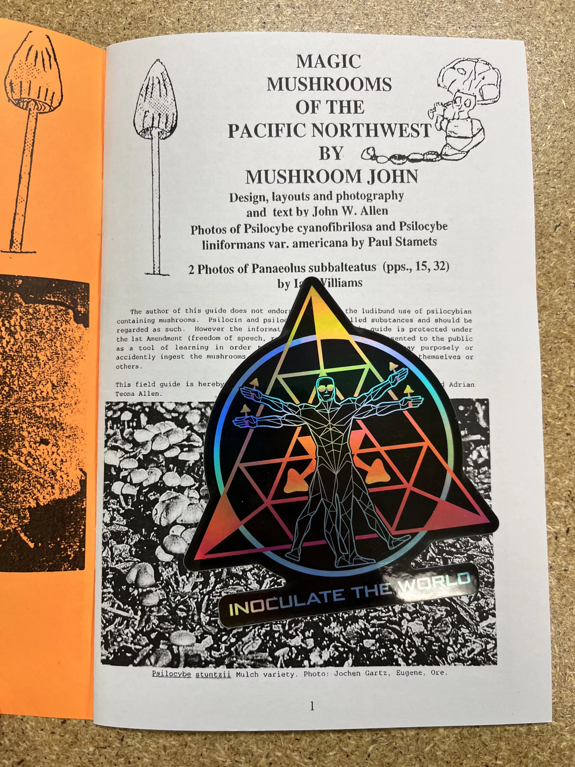 Magic Mushrooms of the Pacific Northwest (Booklet) - Image 5