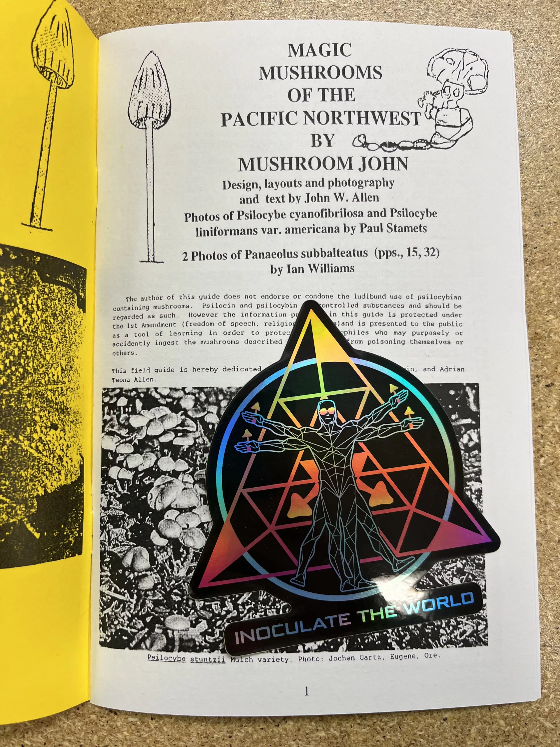 Magic Mushrooms of the Pacific Northwest (Booklet) - Image 6