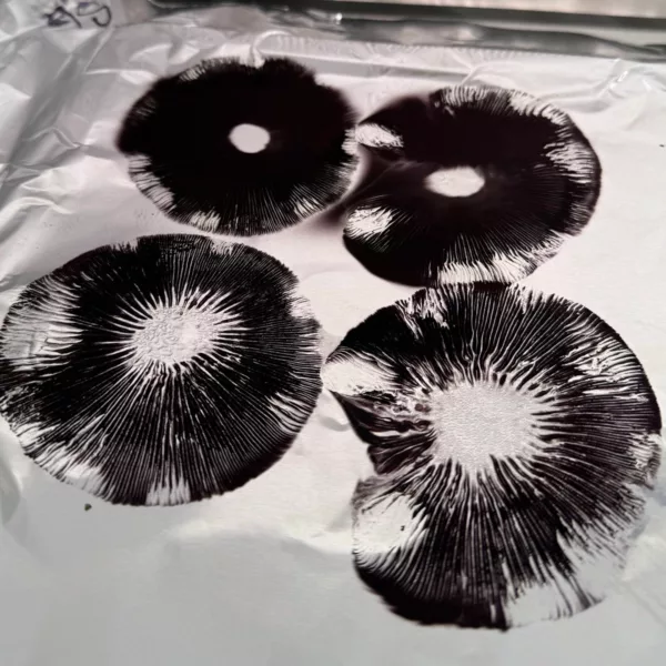 sheet of foil covered in dark spores