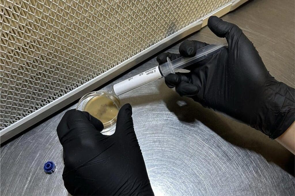 Two hands testing an Inoculate the World spore syringe for contaminants