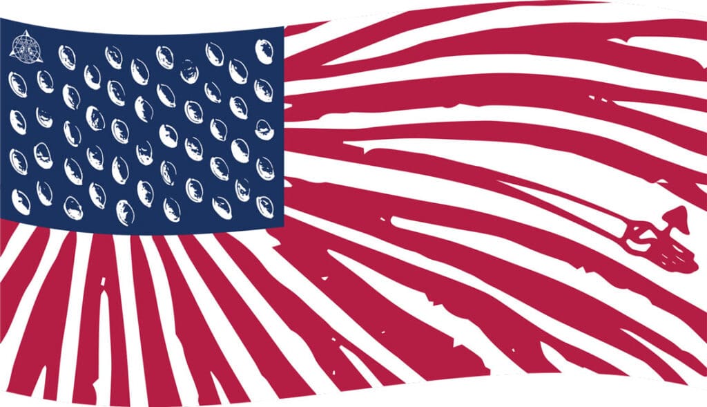 American flag that looks like mushroom gills and spores to represent mushrooms for veterans