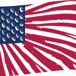 American flag that looks like mushroom gills and spores to represent mushrooms for veterans