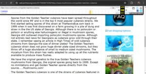 mushrooms.com Golden teacher product description