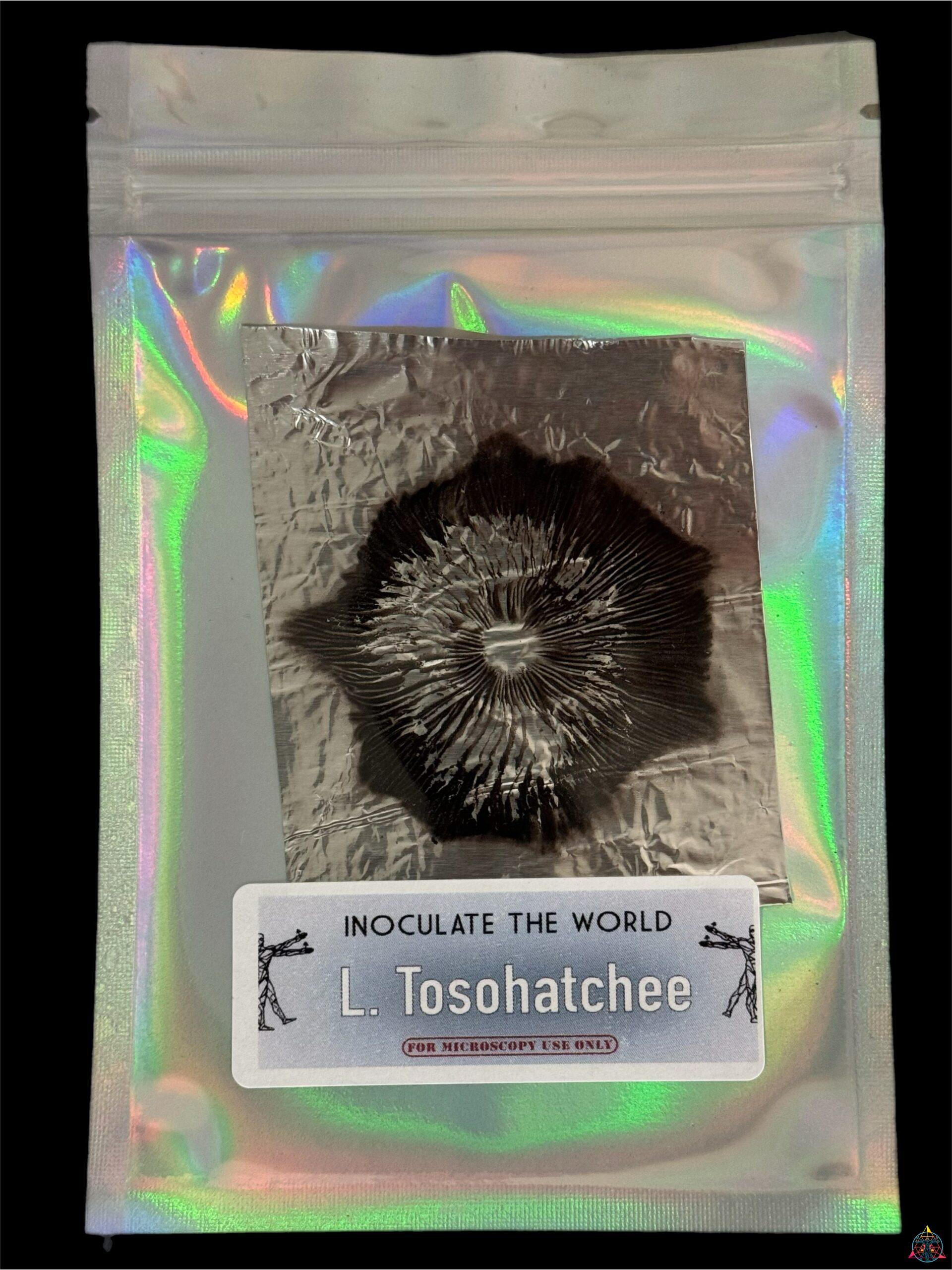 Leucistic Tosohatchee cubensis spore print ITW