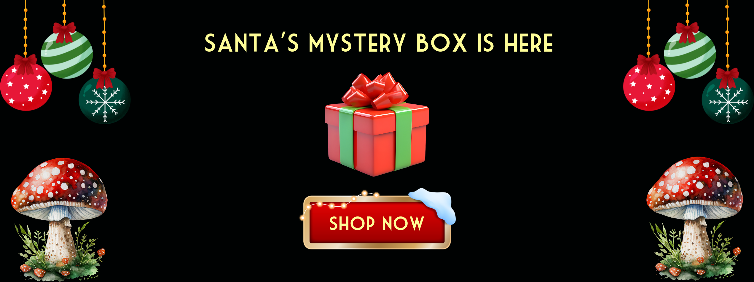 decorative image of santas mystery box