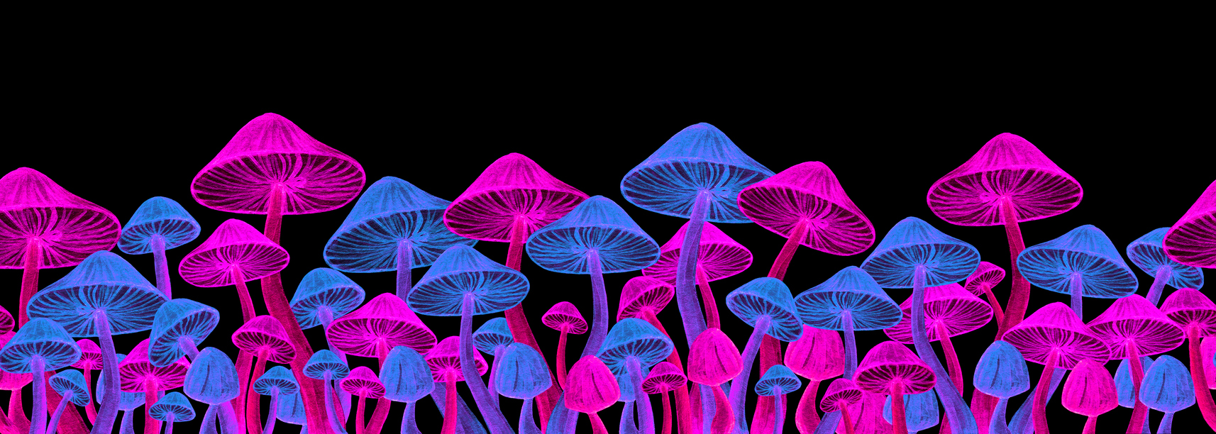 Bright toadstool fluorescent seamless border.