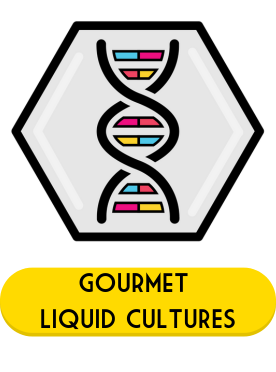 gourmet liquid culture