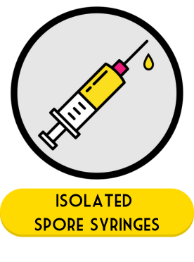 isolated spore syringe