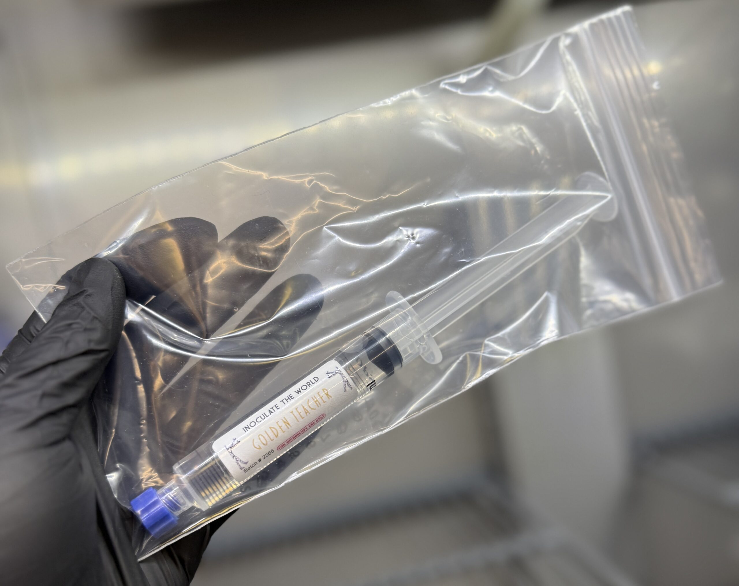 spore syringe stored in plastic bag