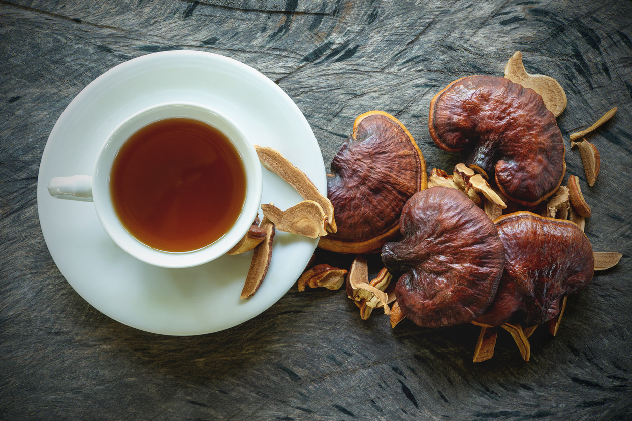 red reishi mushrooms on table next to a cup of reishi tea