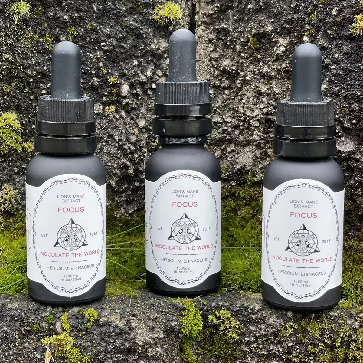 Three medicinal mushroom tinctures against a mossy backdrop.