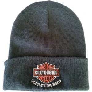 black beanie with orange backround