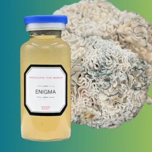 A small vial of yellow liquid in front of a cluster of Enigma mushrooms, against a blue and green gradient background.