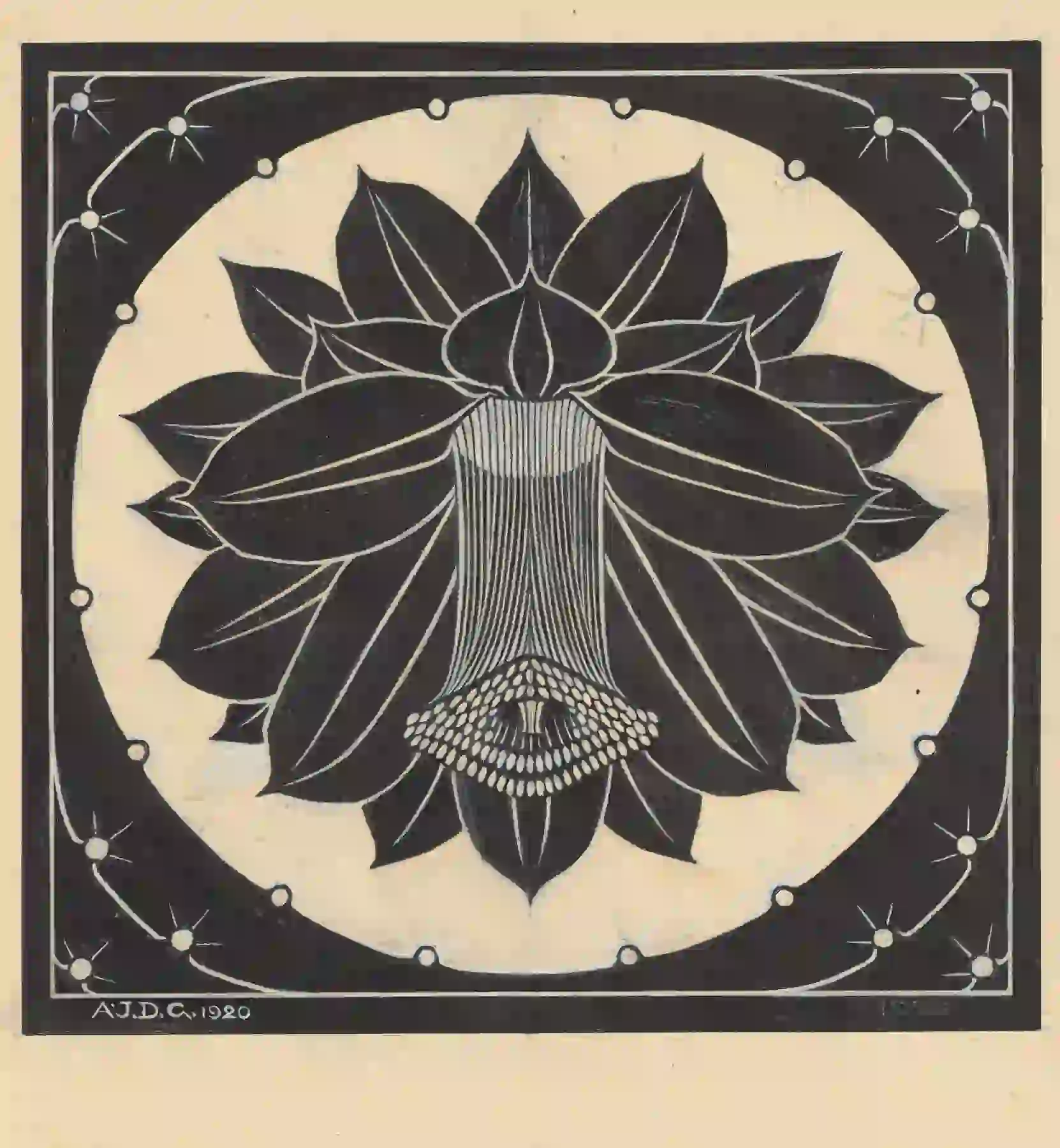 A black and white illustration of a cactus flower