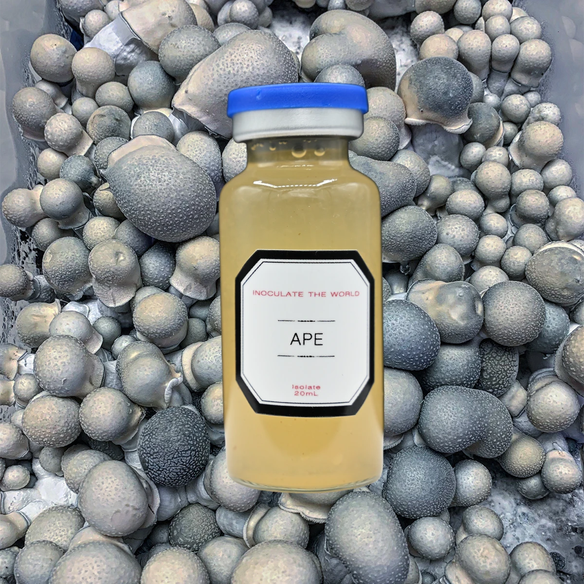 small vial with yellow isolated ape and blue cap